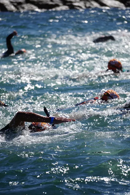 Swim 3 — Six Fours Swim Cup 2026