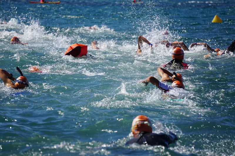 Swim 3 — Six Fours Swim Cup 2026