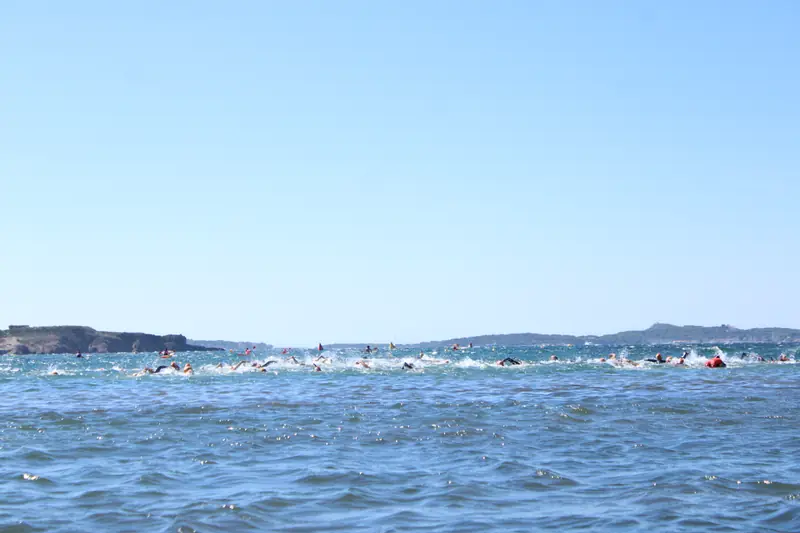 Swim 3 — Six Fours Swim Cup 2026