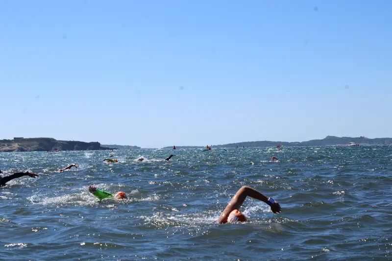 Swim 3 — Six Fours Swim Cup 2026